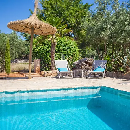 Eco Groc Costitx (Mallorca)